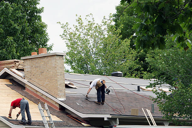 Best Roof Ventilation Installation  in Thorp, WI