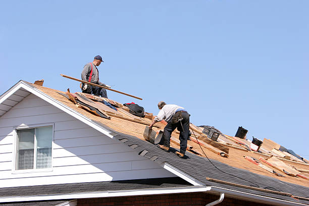 Best Siding Services  in Thorp, WI